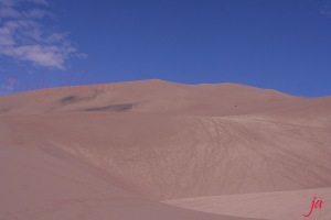 climbing high dune flat