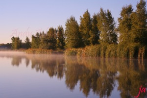 Lake of reflection flat
